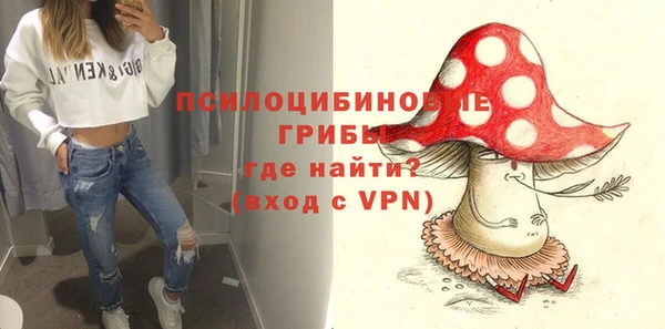 spice Абаза