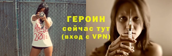 индика Нягань