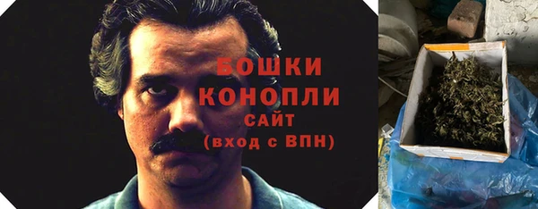 PSILOCYBIN Абдулино