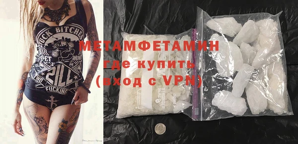 индика Нягань