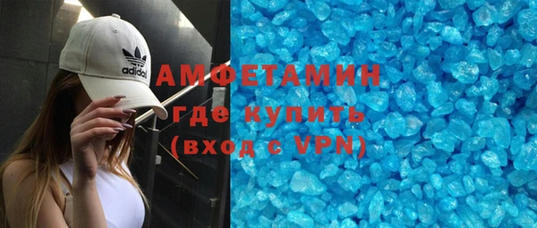 индика Нягань