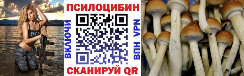 Галлюциногенные грибы Psilocybe  где купить наркотик  Красноперекопск 